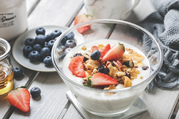 Advances in morphology and lyophilization within yeast technology