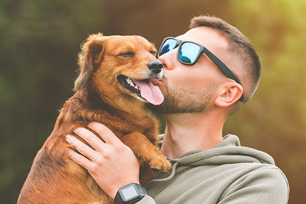 Application of Yeast Extract in Pet Food Attractant