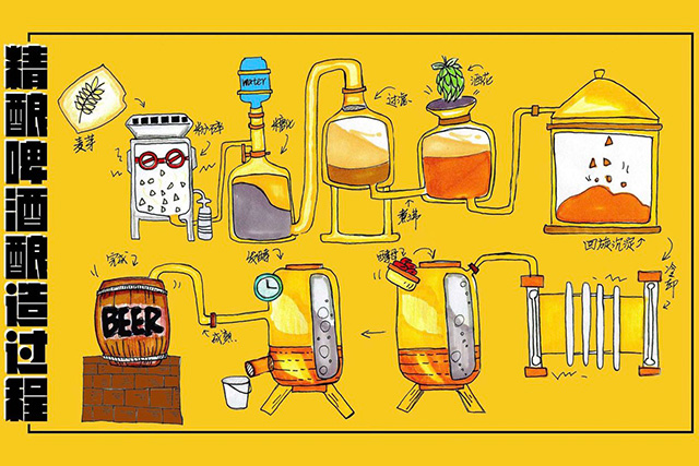 Lactic Acid Bacteria Specialised for Brewing Sour Beer