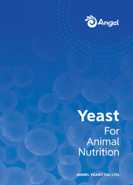 Solusi Ragi untuk Nutrisi Hewan