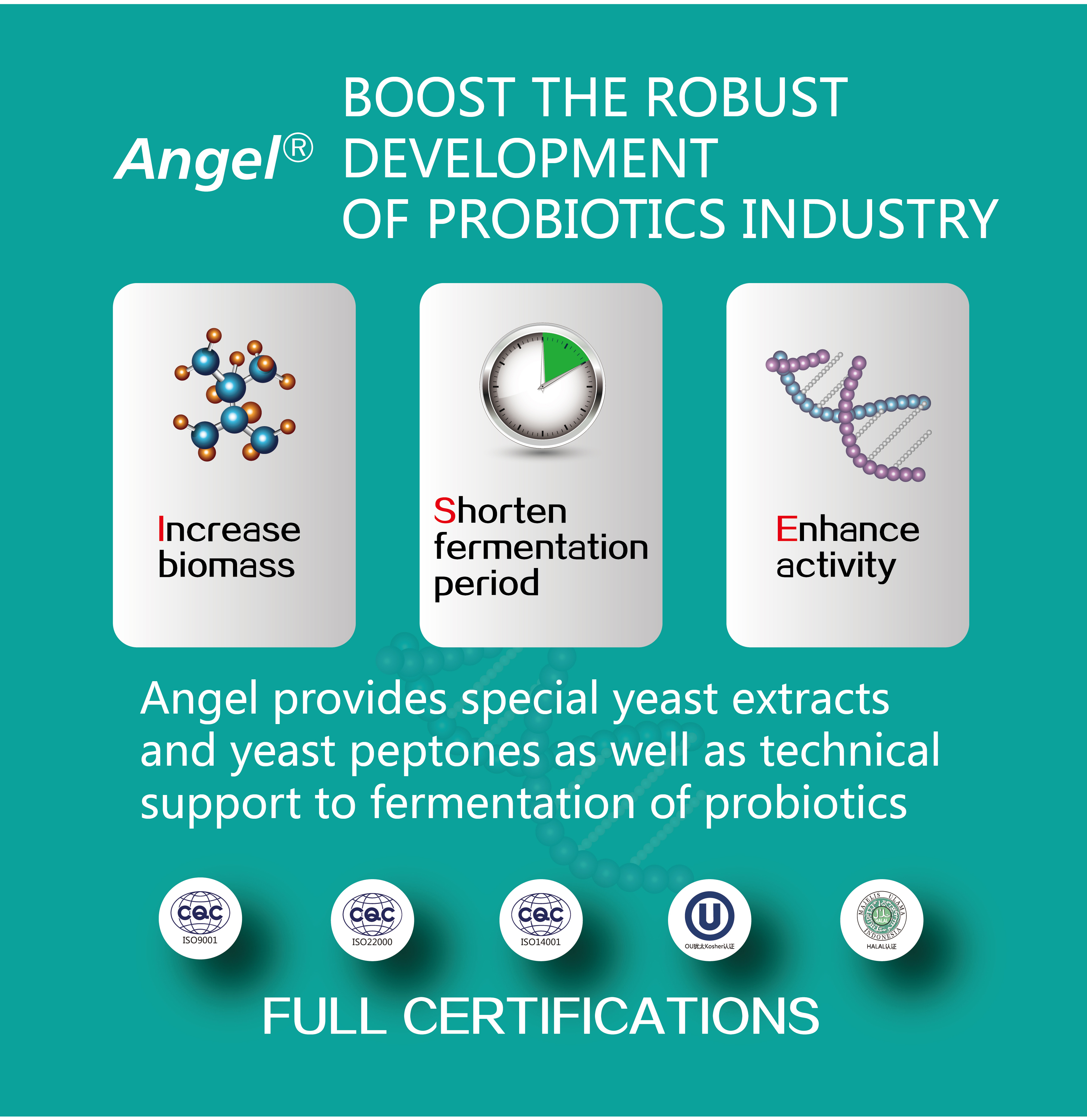 The influence of yeast extract on culture of LABs and the details of Lactobacillus acidophilus fermentation