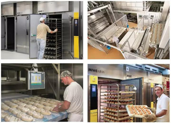 frozen dough factory solution