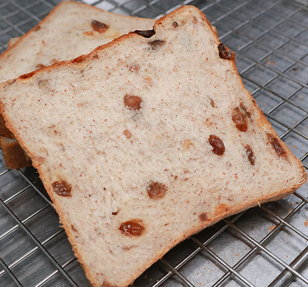 high protein bread