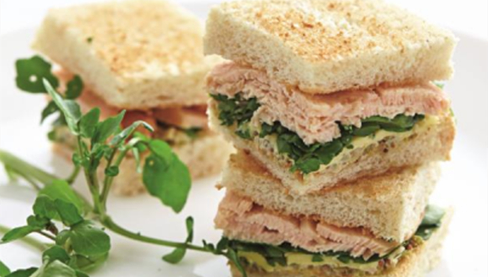 酵母蛋白在零食中的应用