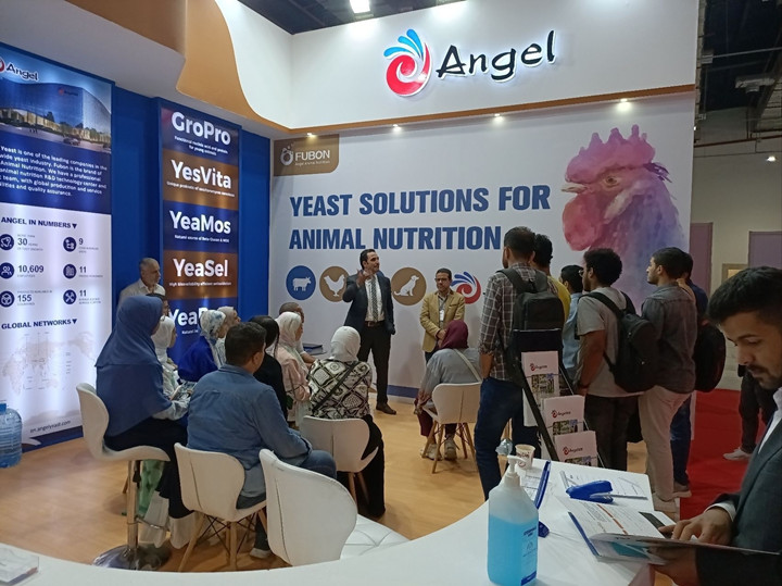 AG视讯参加埃及AGRENA展