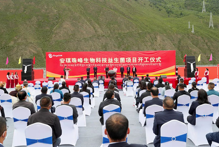 西藏AG视讯珠峰生物科技益生菌产业化项目开工仪式