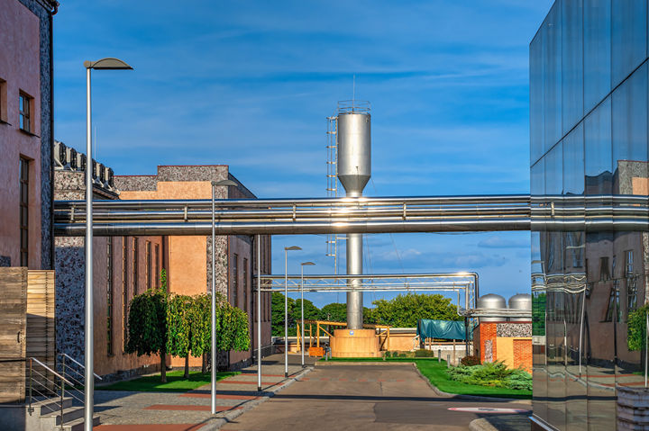 AG视讯酵母耐高温酿酒酵母