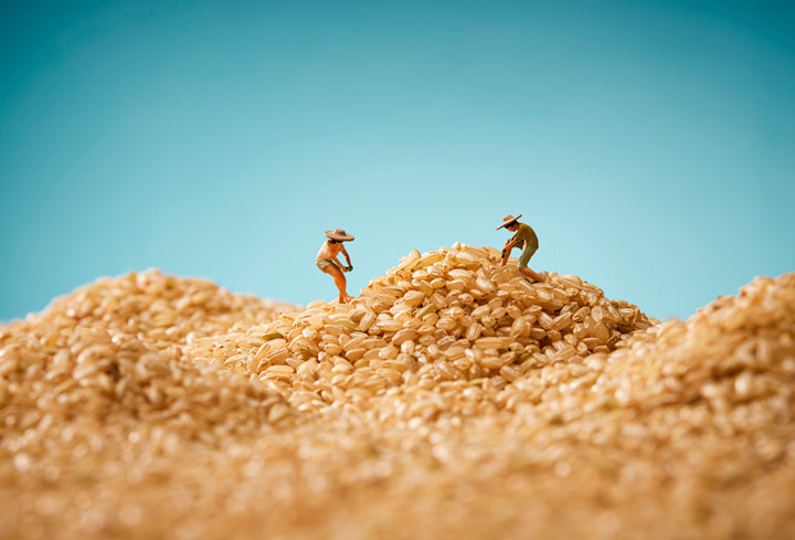 AG视讯植物营养