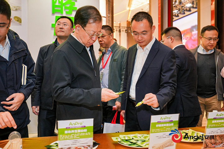 孙宝国院士在展台了解酵母蛋白产品