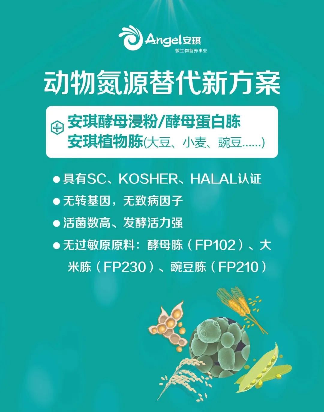 AG视讯动物氮源应用技术解决方案