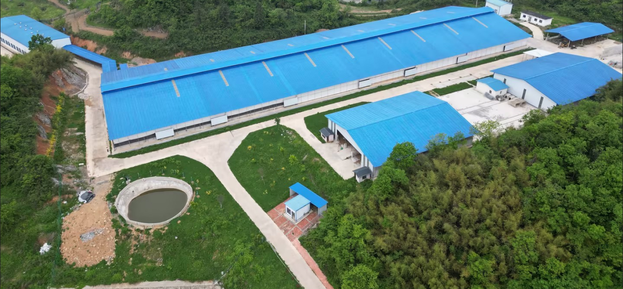 宜昌喜旺食品有限公司高山牧场